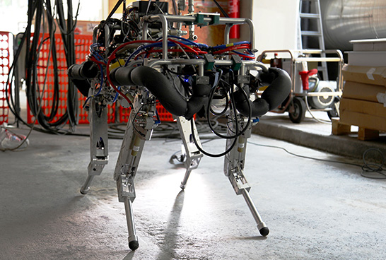 The HyQ (Hydraulically actuated Quadruped) robot developed by IIT